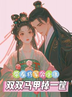 带着将军奔小康，双双马甲掉一筐小说的书名是什么