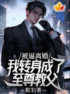 被逼离婚，我转身成了至尊教父by乾尘免费阅读小说大结局