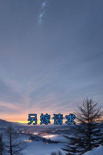 良心推荐另嫁请求小说试读