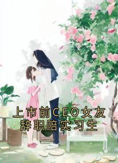 上市前CEO女友辞职陪实习生是什么小说路从凝夏逸凡林彦辰全本免费阅读