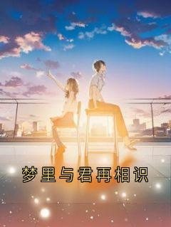 梦里与君再相识免费阅读全文，主角林以棠顾裴司小说完整版