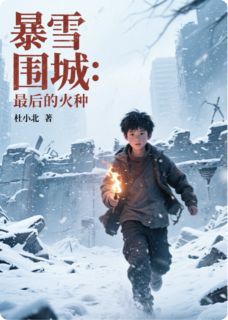 暴雪围城：最后的火种（林宇陈雪）精彩小说目录阅读-暗夜阅读网