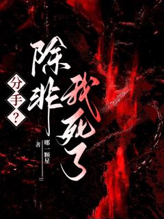 分手？除非我死了于舒宝陈津南大结局在线阅读-暗夜阅读网