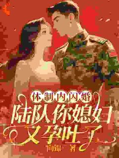 体制内闪婚，陆队你媳妇又孕吐了舒妍陆乘风by向锦免费看