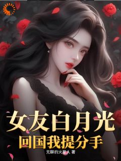 女友白月光回国我提分手江永飞沈庆琳免费全章节目录阅读