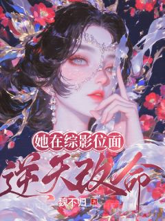 全网首发完整小说她在综影位面逆天改命主角魏嬿婉进忠在线阅读
