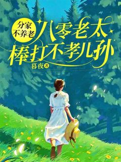快手热推分家不养老，八零老太棒打不孝儿孙小说主角向老太周振国在线阅读