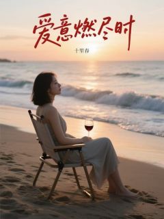 爱意燃尽时小说(完结版)-宋暖贺瑞阳何雨佳在线阅读-暗夜阅读网