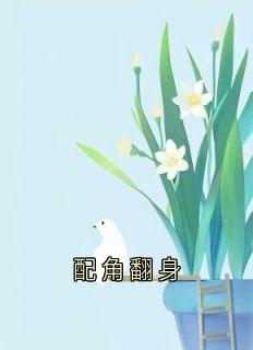 最新小说配角翻身主角许麟肆霍暖绵宋铭轩全文在线阅读-暗夜阅读网