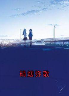 陆天南白小乐硝烟弥散小说完整版
