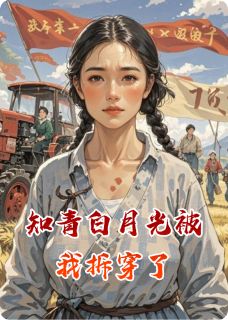 知青白月光被我拆穿了全文目录-沈穗禾沈雪艳小说无弹窗阅读-暗夜阅读网