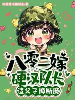 书荒必备八零二嫁硬汉队长，渣父子悔断肠全文章节阅读
