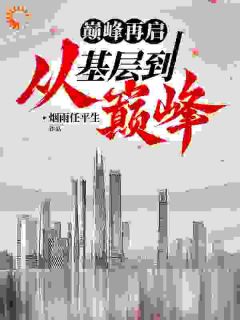 巅峰再启：从基层到巅峰小说全集(沈飞苏涵)无弹窗广告阅读