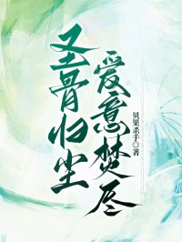最完整版圣骨归尘，爱意焚尽热门连载小说-暗夜阅读网