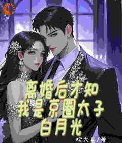 抖音离婚后才知我是京圈太子白月光by欢大喜在线阅读