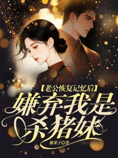 热文老公恢复记忆后，嫌弃我是杀猪妹小说-主角冷慕辰林涵全文在线阅读