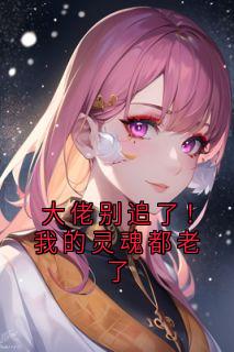 良心推荐大佬别追了！我的灵魂都老了小说试读