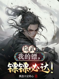 精品小说综武之我的镖，镖镖必达全文目录畅读