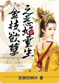 好文热推小说金枝欲孽之恶妃重生主角王巧儿孔明灯全文在线阅读