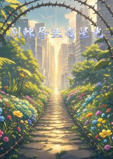 荆棘尽头有星光免费阅读全文，主角星星陆沉舟小说-暗夜阅读网