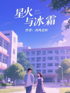 星火与冰霜完整版免费阅读，林星火沈清夏小说大结局在哪看