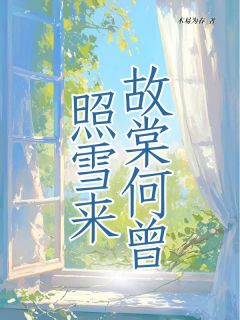 小说推荐故棠何曾照雪来完结版全章节阅读-暗夜阅读网