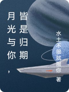 优质新书月光与你，皆是归期最新章节小说全文阅读