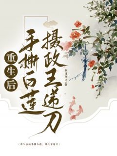 重生后她手撕白莲，摄政王递刀沈璧君齐时齐时宜-小说txt全文阅读-暗夜阅读网