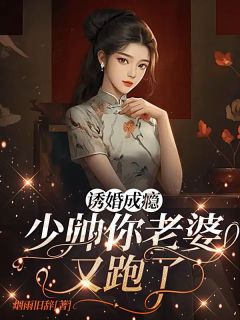 抖音诱婚成瘾：少帅你老婆又跑了小说章节阅读
