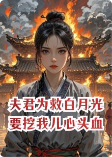 小说夫君为救白月光要挖我儿心头血主角为秦羽柳如眉冰冷免费阅读-暗夜阅读网
