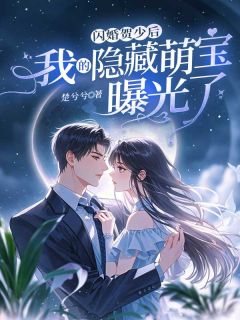 免费完结小说闪婚贺少后，我的隐藏萌宝曝光了林若初贺临舟无弹窗免费阅读-暗夜阅读网