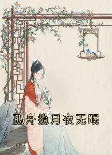 小说推荐孤舟揽月夜无眠完结版全章节阅读
