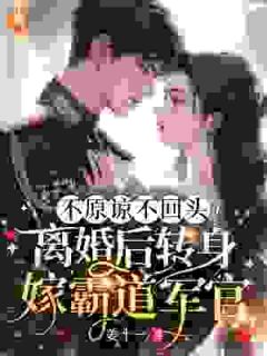 离婚后嫁给军人林稚江聿野小说全文阅读