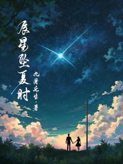 优质新书辰星坠夏时最新章节小说全文阅读