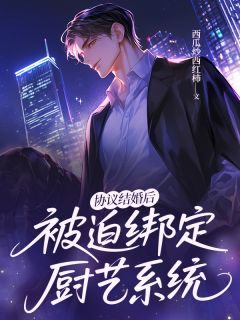 协议结婚后被迫绑定厨艺系统完整版免费阅读，贺凌祁璟南小说大结局在哪看
