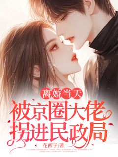 【抖音】离婚当天被京圈大佬拐进民政局全文阅读
