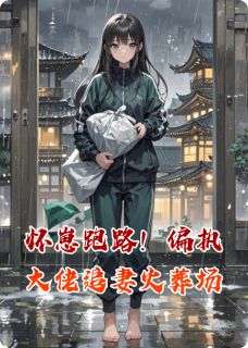 怀崽跑路！偏执大佬追妻火葬场（全本）季宴礼苏晚完整章节列表免费阅读-暗夜阅读网