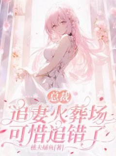 沈聿白顾念安沈芝安小说结局