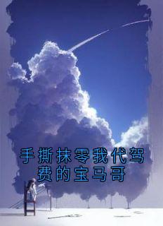 最完整版手撕抹零我代驾费的宝马哥热门连载小说