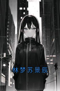 林梦苏景辰免费阅读全文，主角林雪薇苏景辰小说完整版