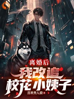 离婚后，我改追校花小姨子小说的书名是什么