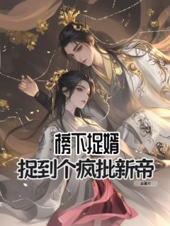 榜下捉婿，捉到个疯批新帝精彩小说-榜下捉婿，捉到个疯批新帝目录阅读-暗夜阅读网