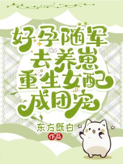 书荒必备好孕随军去养崽，重生女配成团宠全文章节阅读-暗夜阅读网