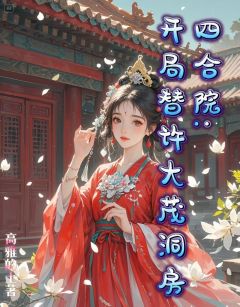精选好书四合院：开局替许大茂洞房无删减版全文在线