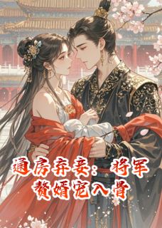 【抖音】通房弃妾：将军赘婿宠入骨全文阅读