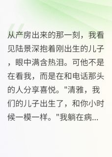 替身妈妈带着娃逆袭了陆景深苏清雅by佚名免费看-暗夜阅读网