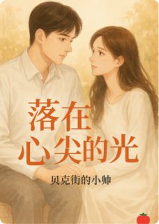 熬夜也要看完的落在心尖上的光小说推荐