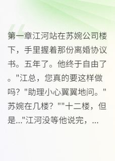 白月光被我搞丢了，找呀找免费阅读全文，主角苏婉江河小说完整版最新章节-暗夜阅读网