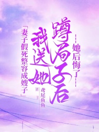 最新小说妻子假死整容成嫂子，我送她蹲局子后她后悔了主角何琳周子焱全文在线阅读