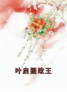 秀娘叶启小说<叶启摄政王>全文在线阅读-暗夜阅读网